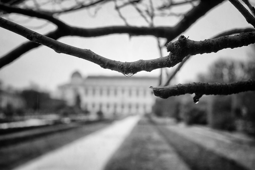 jardin-des-plantes.jpg