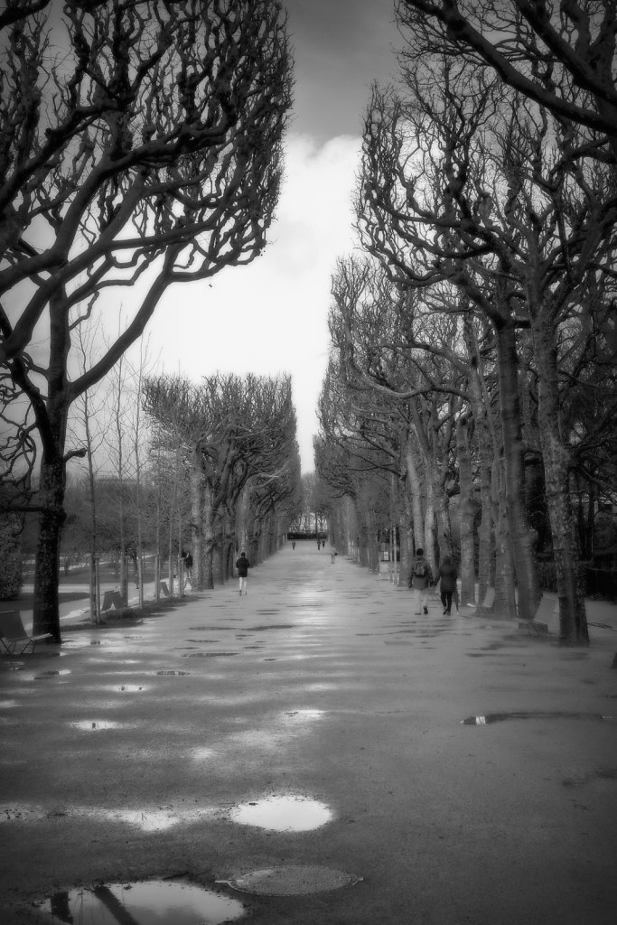 jardin-des-plantesnb.jpg