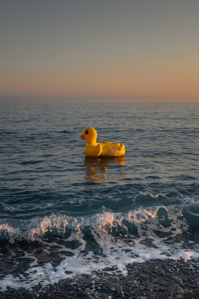 canard-2-def-2.jpg