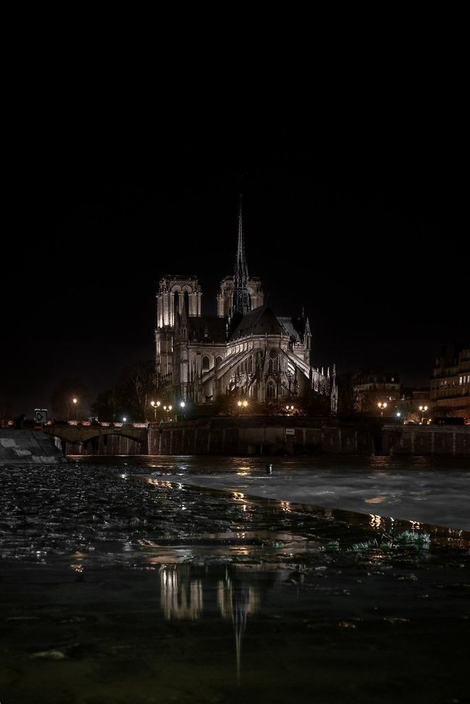 notre-dame-reboot-2.jpg